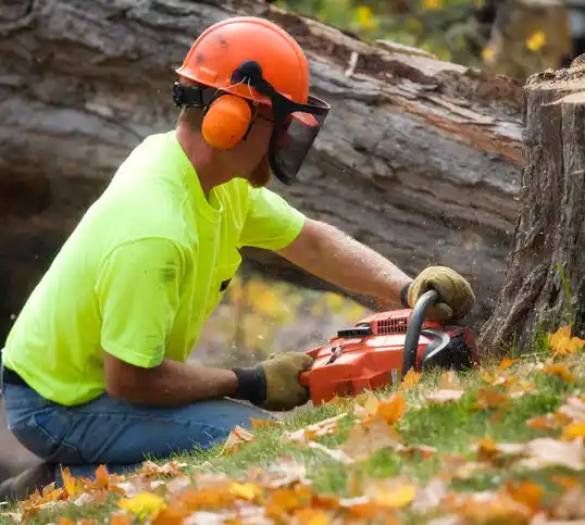 tree services Blackwood